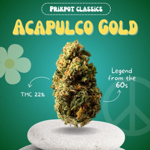 Acapulco Gold is a classic hybrid cannabis strain available in Thailand.