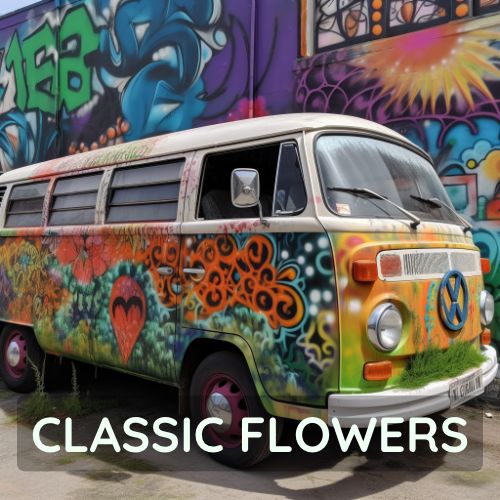 Classic cannabis flowers in Thailand.