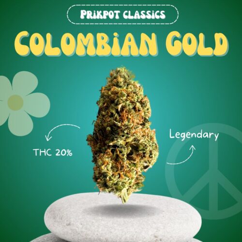 Colombian Gold is a classic cannabis strain available in Thailand.