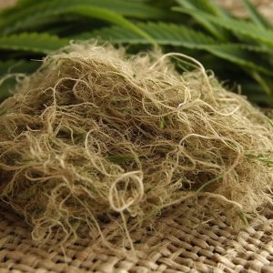 Hemp – The Cannabis Sibling with a Bright Future 2 Hemp can be used for garments.