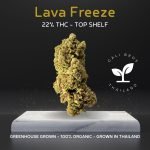 Lava Freeze, Greenhouse grown in Thailand.