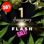 Prikpot 1 year anniversary