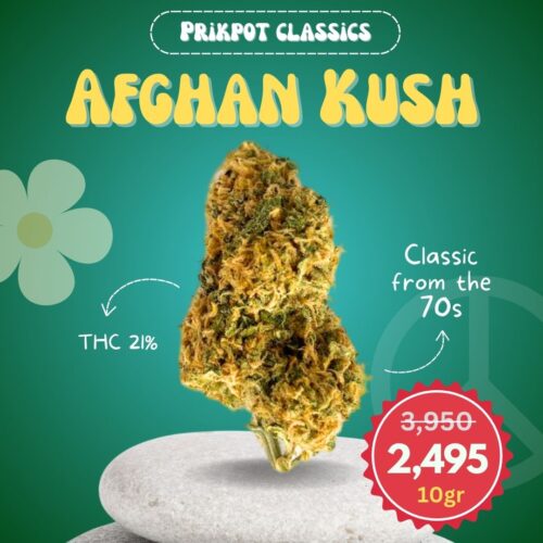 Classic Afghan Kush Indica strain sold as 10 grams value pack in Thailand.