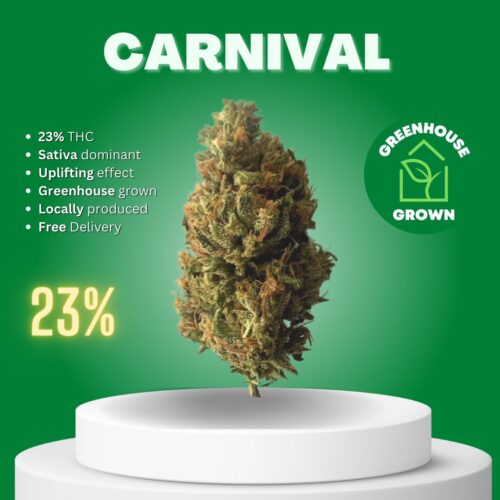 Carnival cannabis bud sold online in Thailand.