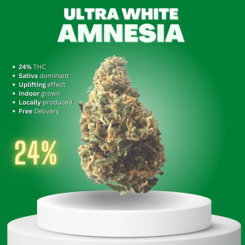 Ultra White Amnesia cannabis bud sold online in Thailand.