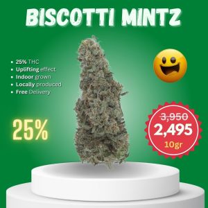 Biscotti Mintz strain in Thailand.