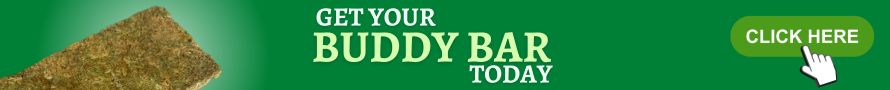 Click here to check out our Buddy Bar.