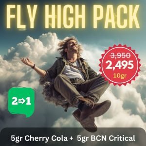 Fly High Pack Deal on Cannabis in Thailand.
