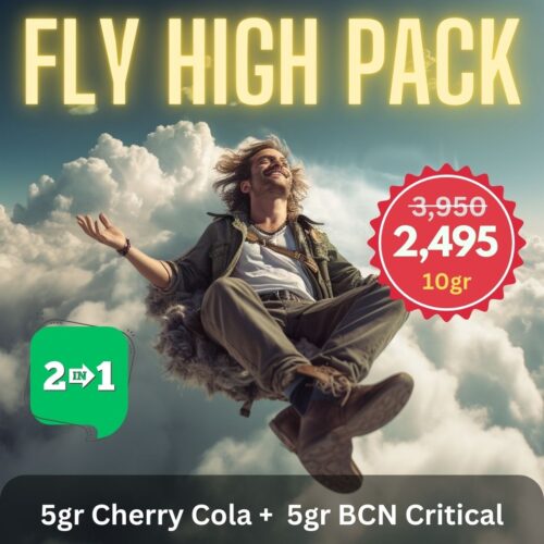 Fly High Pack Deal on Cannabis in Thailand.