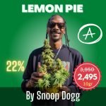 Value Pack Lemon Pie cannabis strain by Snoop Dogg sold online in Thailand.