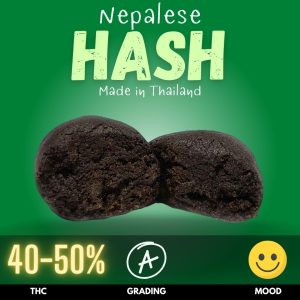 Premium Nepalese hash made and sold in Thailand.