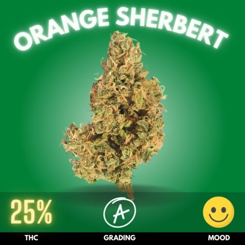 Orange Sherbert cannabis strain sold online in Thailand.
