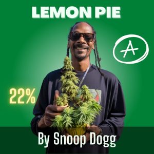 Lemon Pie cannabis strain by Snoop Dogg sold online in Thailand.