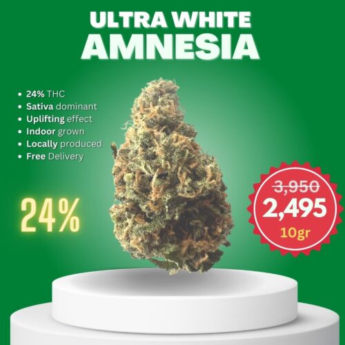 Ultra White Amnesia Value Pack cannabis bud sold online in Thailand.
