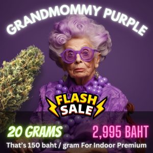 Grandmommy Purple Flash Sale