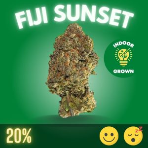 Fiji Sunset, a cannabis strain that captures the essence of a tranquil evening by the beach.