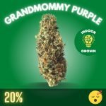 Grandmommy Purple Strain.