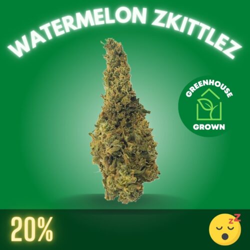 Watermelon Zkittlez (Greenhouse)