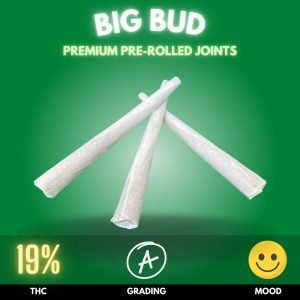 Big Bud Pre-rolled Joints, a game-changer for those seeking both convenience and quality.