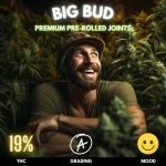 Big Bud Pre-rolled Joints, a game-changer for those seeking both convenience and quality.