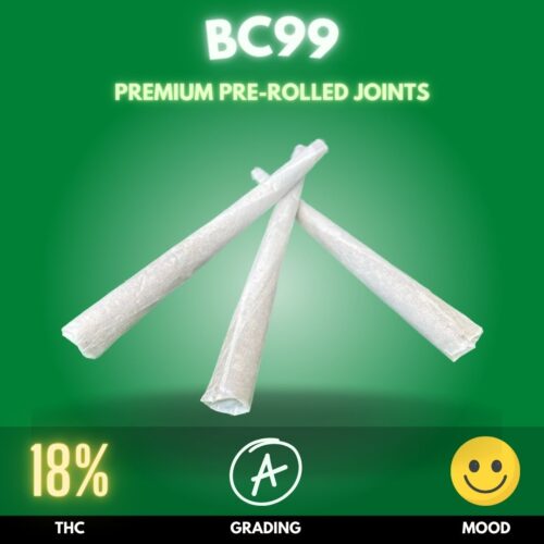 BC99 pre-rolled joints, a striking emblem of sativa dominance in the cannabis family