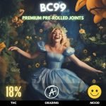 BC99 pre-rolled joints, a striking emblem of sativa dominance in the cannabis family