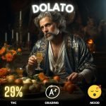 Dolato, a cannabis strain that offers a strong indica-dominant experience.