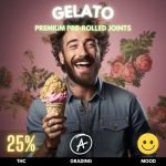 Big Bud Pre-rolled Joints, a game-changer for those seeking both convenience and quality.