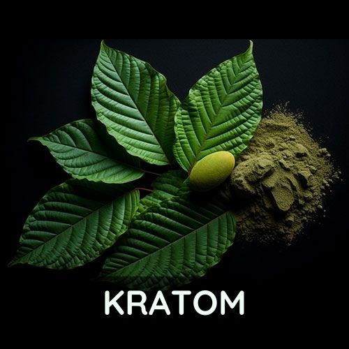 Buy organic Kratom online in Thailand. High quality from the Golden Triangle.