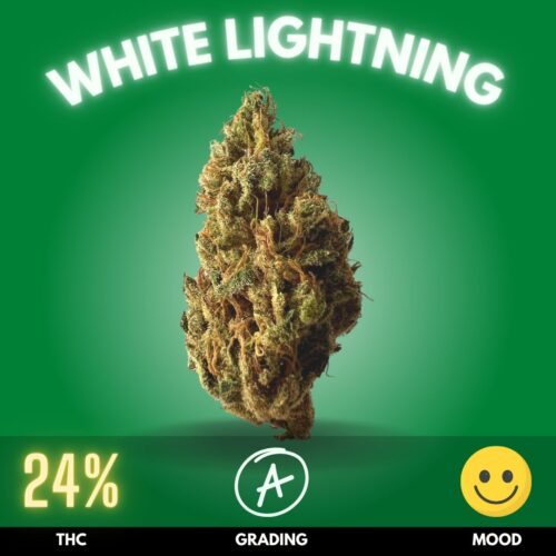 White Lightning cannabis strain sold in Thailand.