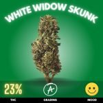 White Widow Skunk is a powerhouse in the cannabis community, widely recognized for its dominant sativa genetics.