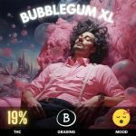 Bubblegum XL: a flavorful journey through vibrant sweetness and a subtle earthy undertone, boasting a generous 19% THC level.