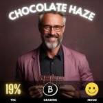 chocolate-haze-cannabis-strain-thailand-hero