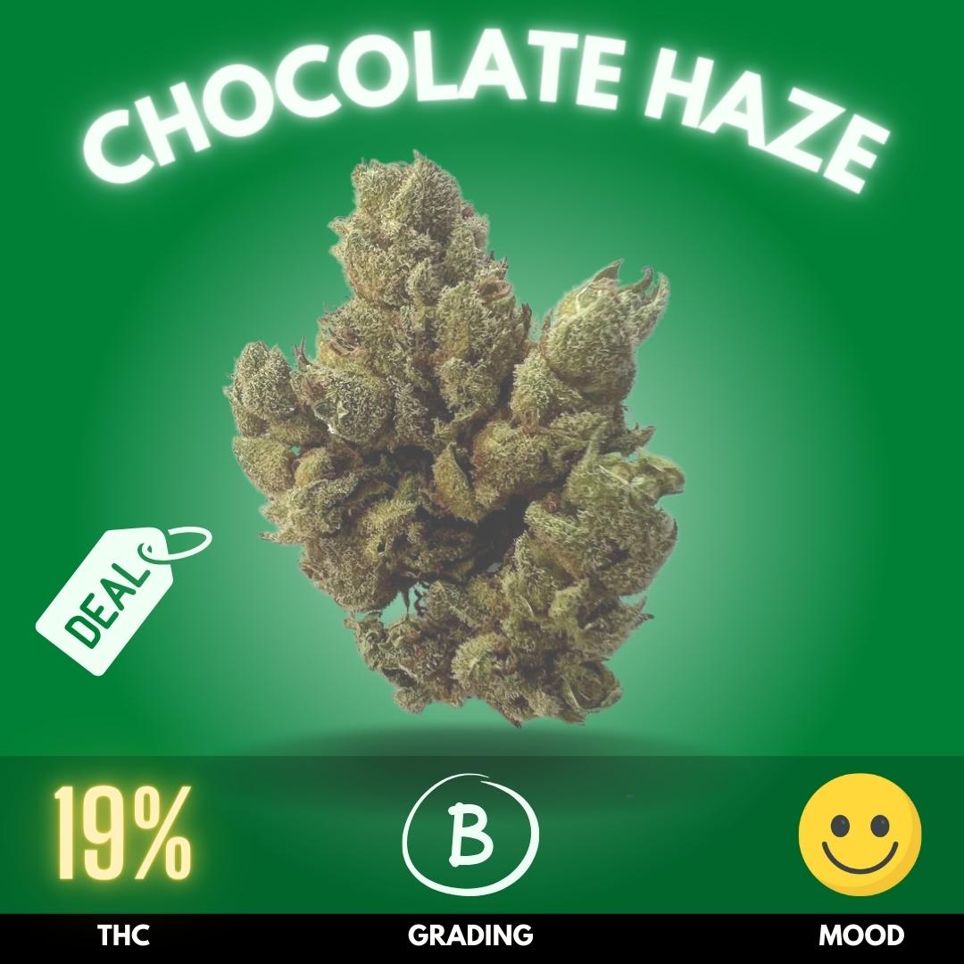 chocolate-haze-cannabis-strain-thailand-online Chocolate Haze is a powerhouse in the cannabis community, widely recognized for its dominant sativa genetics.