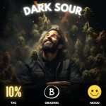 Experience the unique blend of flavors and sensations with Dark Sour, an Indica-dominant strain that stands out with a modest THC level of 10%