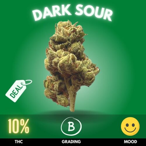 Experience the unique blend of flavors and sensations with Dark Sour, an Indica-dominant strain that stands out with a modest THC level of 10%