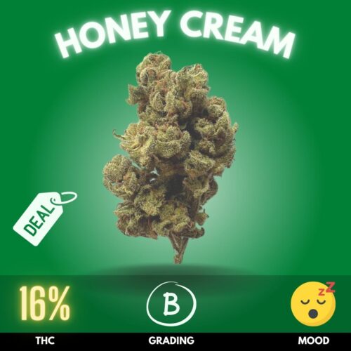 Meet Honey Cream, a delightful and widely appreciated cannabis strain with a noteworthy THC content of 16%.