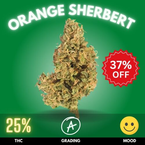 Orange Sherbert cannabis strain sold online in Thailand.