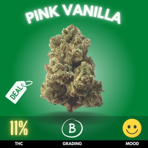 Introducing Pink Vanilla, a strikingly unique cannabis strain that masterfully combines aesthetic allure with a symphony of soothing effects.