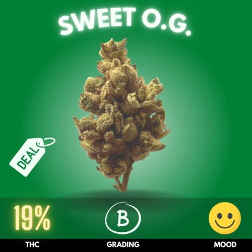 Meet Sweet OG, your next favorite cannabis strain, charmingly sweet and potent with a notable 19% THC content.