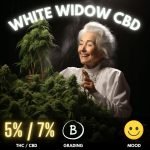 Introducing White Widow, a strain with a storied reputation and an impeccably balanced profile, showcasing a harmonious 5% THC and 7% CBD content