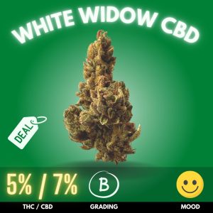 Introducing White Widow, a strain with a storied reputation and an impeccably balanced profile, showcasing a harmonious 5% THC and 7% CBD content