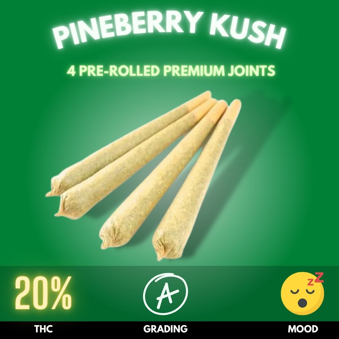 Pineberry-Kush-pre-rolled-joint-thailand With a THC level averaging around 18-22%, Pineberry Kush is potent enough to provide a strong, yet manageable high