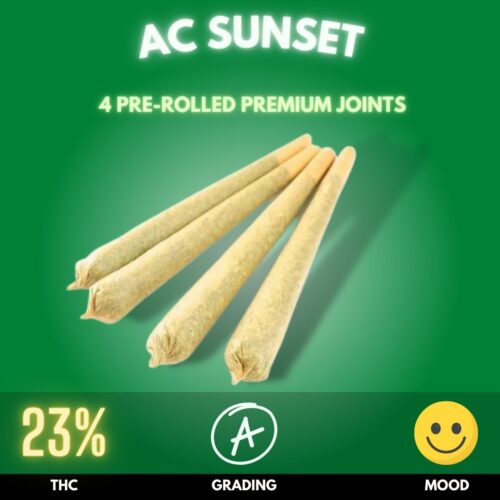 AC Sunset is a captivating cannabis strain that stands out for its unique characteristics and effects. Predominantly Sativa-dominant