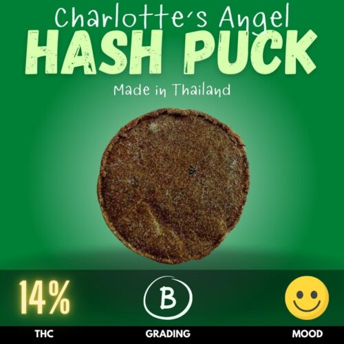 Charlotte's Angel hash puck delivers a clear-headed and uplifting sensation