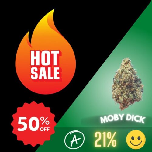 Moby Dick Strain Thailand. THC 21% Sativa-dominant hybrid Greenhouse-grown in Thailand