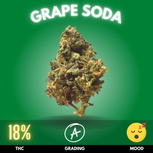 Grape Soda is an enchanting cannabis strain, predominantly indica in nature, grown meticulously in an indoor