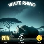 White Rhino, a predominantly Indica-dominant hybrid, is renowned for its powerful and sedative effects. Boasting a high THC content, typically ranging between 18% to 22%