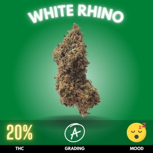 White Rhino, a predominantly Indica-dominant hybrid, is renowned for its powerful and sedative effects. Boasting a high THC content, typically ranging between 18% to 22%