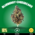 Blueberry Cheesecake is a delightful cannabis strain that tantalizes the senses with its unique blend of sweet, fruity flavors